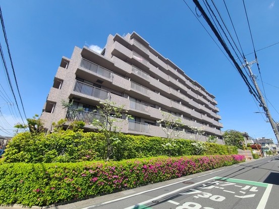 apartment 埼玉県さいたま市南区南浦和２丁目38-1 北原ビル1階