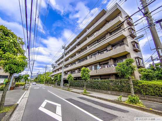 apartment 埼玉県さいたま市南区南浦和２丁目38-1 北原ビル1階