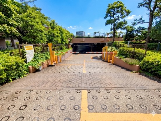 apartment 埼玉県さいたま市南区南浦和２丁目38-1 北原ビル1階