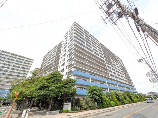 apartment 埼玉県さいたま市南区南浦和２丁目38-1 北原ビル1階