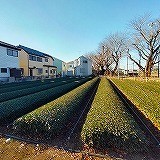 detached 東京都国分寺市本町４丁目19-10 ビッググラッド国分寺