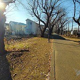 detached 東京都国分寺市本町４丁目19-10 ビッググラッド国分寺