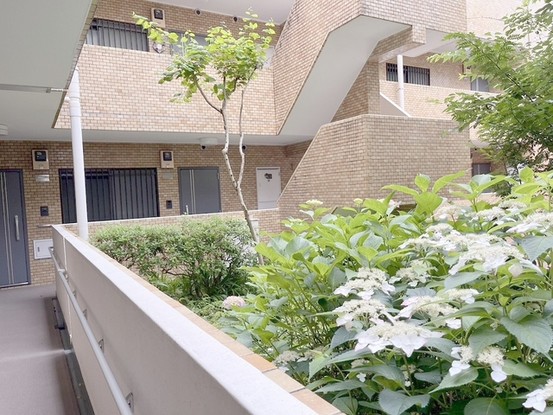 apartment 東京都国分寺市本町４丁目19-10 ビッググラッド国分寺
