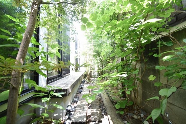 detached 東京都国分寺市本町４丁目19-10 ビッググラッド国分寺