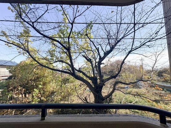 apartment 東京都国分寺市本町４丁目19-10 ビッググラッド国分寺