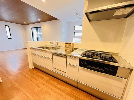 detached 東京都国分寺市本町４丁目19-10 ビッググラッド国分寺