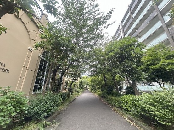 apartment 東京都国分寺市本町４丁目19-10 ビッググラッド国分寺