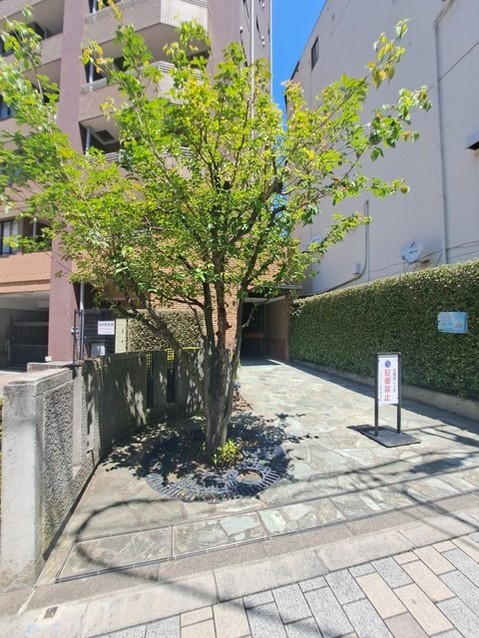 apartment 東京都国分寺市本町４丁目19-10 ビッググラッド国分寺
