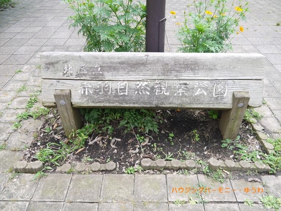 apartment 東京都板橋区蓮沼町
地図を見る