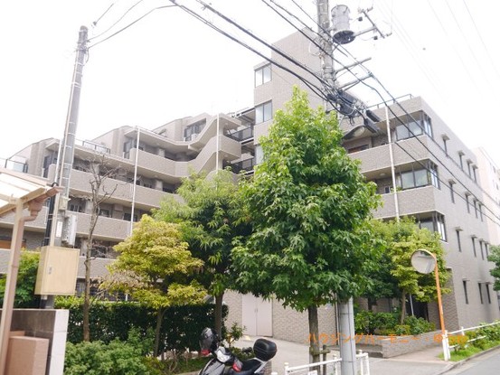 apartment 東京都板橋区成増３丁目
地図を見る