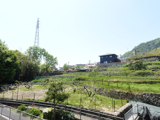 apartment 広島県広島市西区田方１丁目
地図を見る