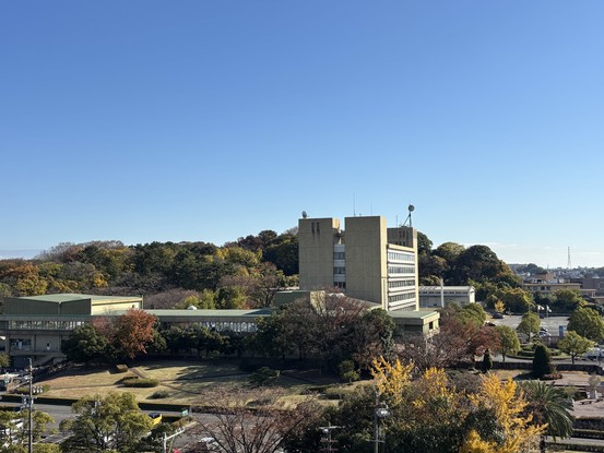 apartment 東京都渋谷区千駄ヶ谷４丁目19-18