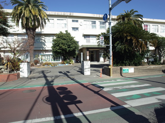 apartment 宮崎県宮崎市下北方町平田
地図を見る