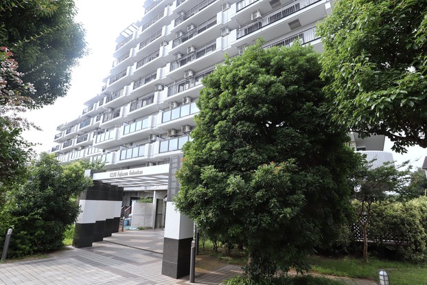 apartment 神奈川県藤沢市城南３丁目
地図を見る