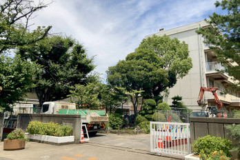 apartment 埼玉県さいたま市大宮区上小町482-2 第8横溝ビル 1F