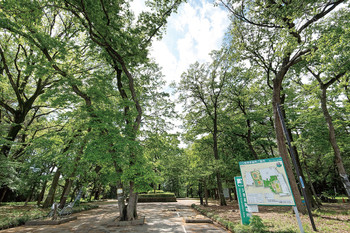 apartment 埼玉県さいたま市大宮区上小町482-2 第8横溝ビル 1F