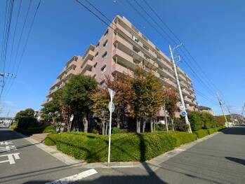 apartment 埼玉県さいたま市大宮区上小町482-2 第8横溝ビル 1F