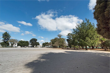 apartment 埼玉県さいたま市大宮区上小町482-2 第8横溝ビル 1F