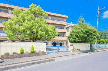 apartment 埼玉県さいたま市大宮区上小町482-2 第8横溝ビル 1F