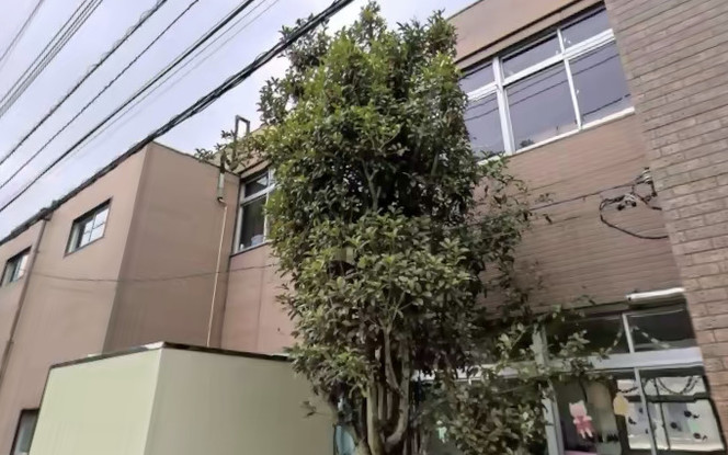 apartment 千葉県柏市桜台1-1 サクラヒルズ201