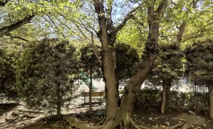 apartment 千葉県柏市桜台1-1 サクラヒルズ201