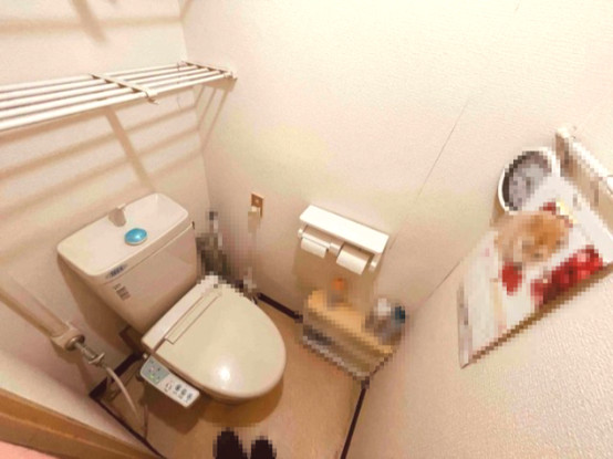 apartment 千葉県柏市桜台1-1 サクラヒルズ201