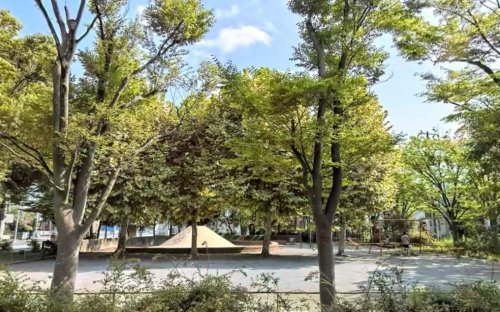 apartment 千葉県柏市桜台1-1 サクラヒルズ201