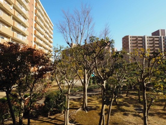 apartment 千葉県浦安市入船４丁目3-1 新浦安エスケービル1階
