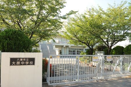 apartment 埼玉県八潮市大字大曽根
地図を見る