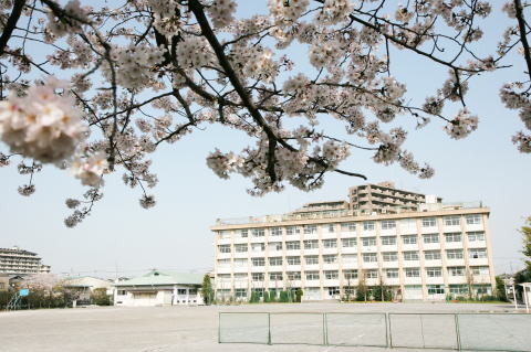 apartment 埼玉県八潮市大字南後谷
地図を見る