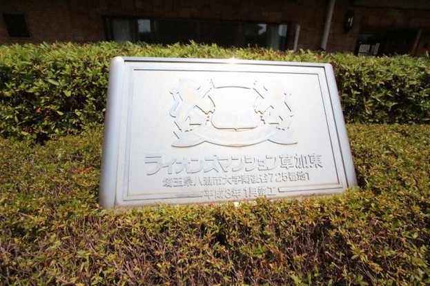 apartment 埼玉県八潮市大字南後谷
地図を見る