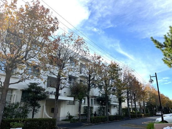 apartment 千葉県市川市妙典５丁目3番地1 イオン市川妙典店