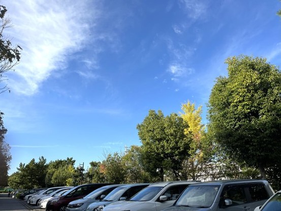 apartment 千葉県市川市妙典５丁目3番地1 イオン市川妙典店