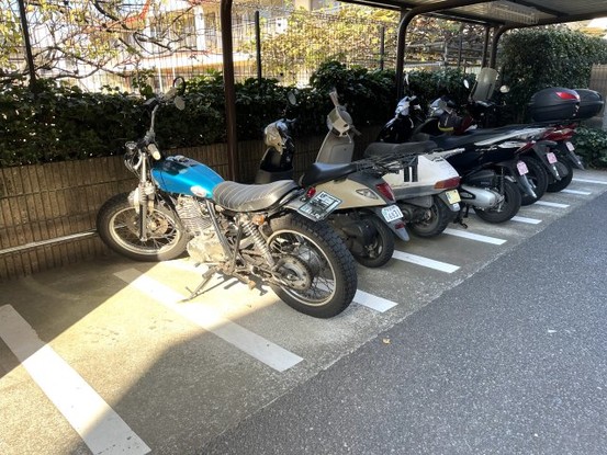 apartment 千葉県市川市妙典５丁目3番地1 イオン市川妙典店