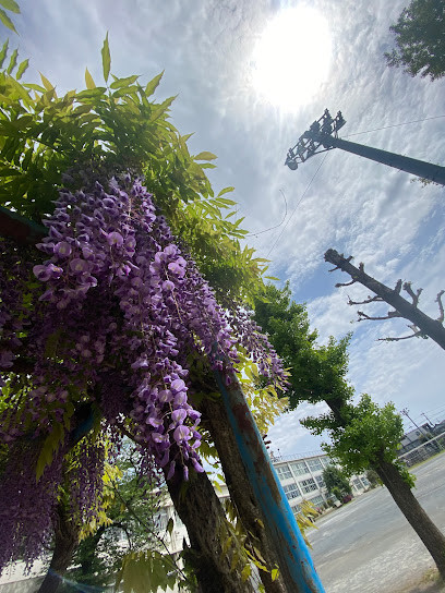 apartment 東京都福生市武蔵野台２丁目
地図を見る