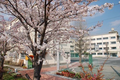 detached 東京都中野区弥生町５丁目
地図を見る