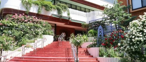 apartment 東京都千代田区富士見２丁目
地図を見る