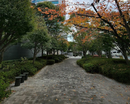 apartment 東京都新宿区新小川町
地図を見る
