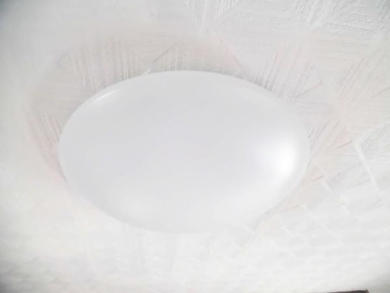 detached 兵庫県宝塚市泉町24-13 ジャルダン宝塚六番館　201号室