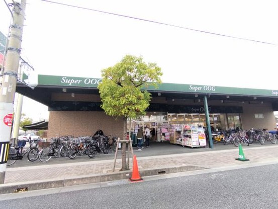 detached 兵庫県宝塚市泉町24-13 ジャルダン宝塚六番館　201号室