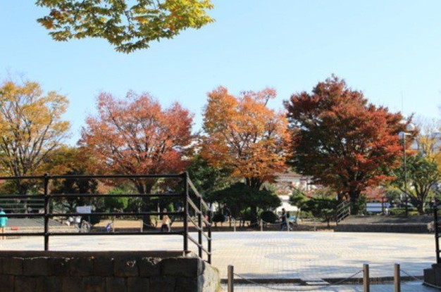 apartment 千葉県市川市福栄１丁目
地図を見る