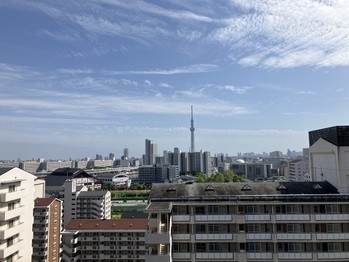 apartment 埼玉県八潮市大瀬１丁目2-11 カーサヴェルデ八潮1F