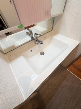 apartment 埼玉県八潮市大瀬１丁目2-11 カーサヴェルデ八潮1F