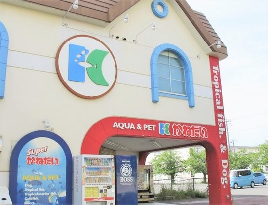detached 神奈川県伊勢原市桜台１丁目9-7 堀井ビル1F