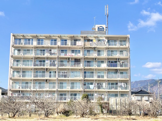 apartment 神奈川県伊勢原市桜台１丁目9-7 堀井ビル1F