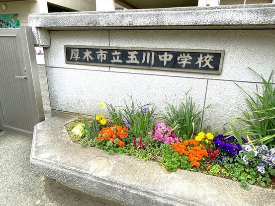 detached 神奈川県伊勢原市桜台１丁目9-7 堀井ビル1F