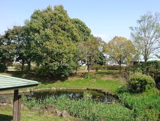 detached 神奈川県伊勢原市桜台１丁目9-7 堀井ビル1F