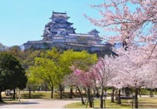 apartment 兵庫県姫路市飾磨区加茂354-1