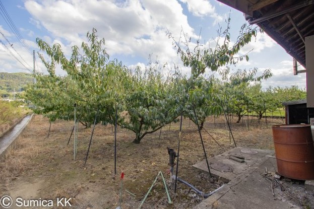 detached 和歌山県紀の川市桃山町元
地図を見る