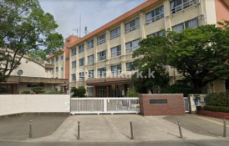apartment 和歌山県和歌山市毛見
地図を見る